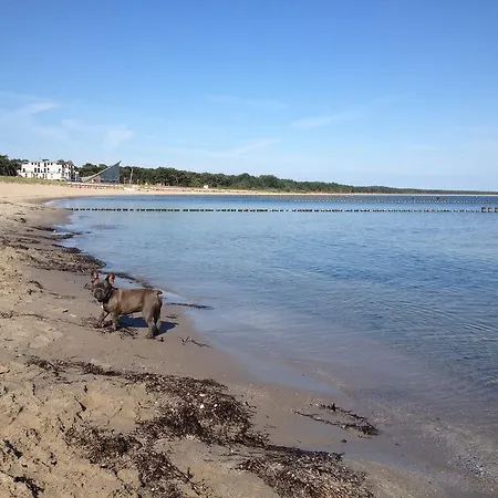 Appartementhaus Zur Schaabe Apartment